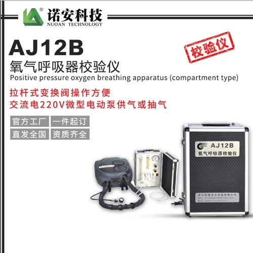 北京AJ12B氧气呼吸器校验仪