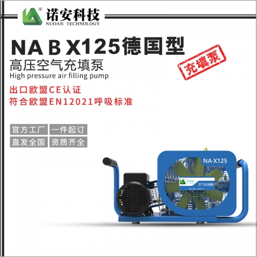天津NABX125德国型高压空气充填泵