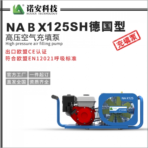 天津NABX125SH德国型高压空气充填泵